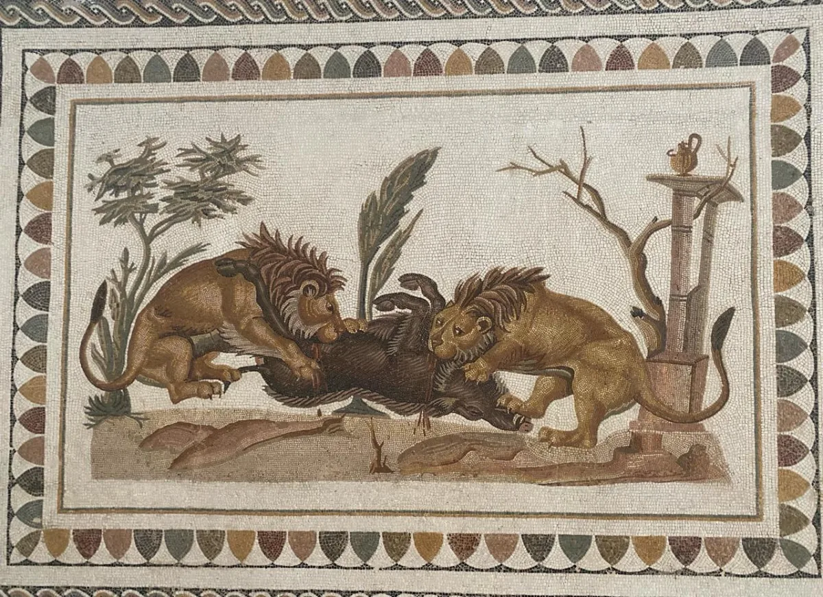 Lions Devouring a Wild Boar in Thysdrus